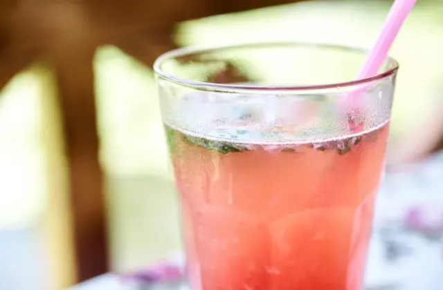 Slibovali domácí limonádu, přinesli však šťávu s vodou za 90 korun: Co musí restaurace přiznat a kdy už porušuje zákon?
