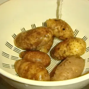 Jedna obyčejná potravina zasytí víc než maso a kila pak letí dolů skoro sama. Ale záleží na úpravě