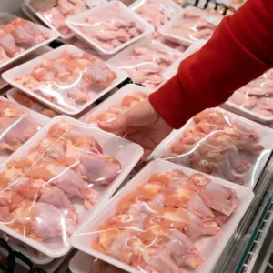 Salmonela se opakovaně našla v dováženém kuřecím a krůtím mase. Největší chybu mohou lidé udělat ještě před vařením
