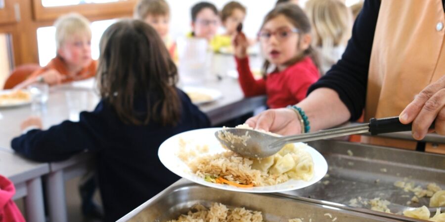 Rybí polévka a těstoviny s rybou, další den pohanka a bulgur. „Je mi jasné, že moje dítě zase nebude jíst,“ zoufají rodiče
