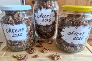 Ořechy skladuji tak, jak jsme to dělali doma před 40 lety. Vydrží bezvadné téměř celý rok