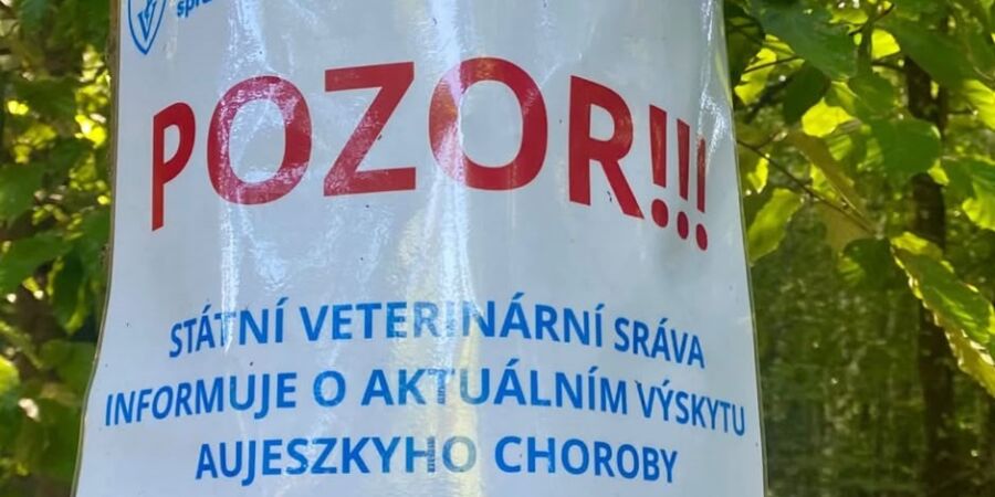 Falešné cedule děsí houbaře. V lesích varují před nebezpečnou nákazou