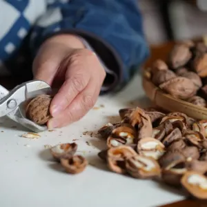 Loňské ořechy ještě nepatří do koše. O žluknutí rozhodují jiné znaky. A znáte trik s mražením?