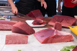 Objednáte si drahého tuňáka, dostanete jinou rybu. DNA testy odhalily falšování v restauracích, týká se 88 procent vzorků